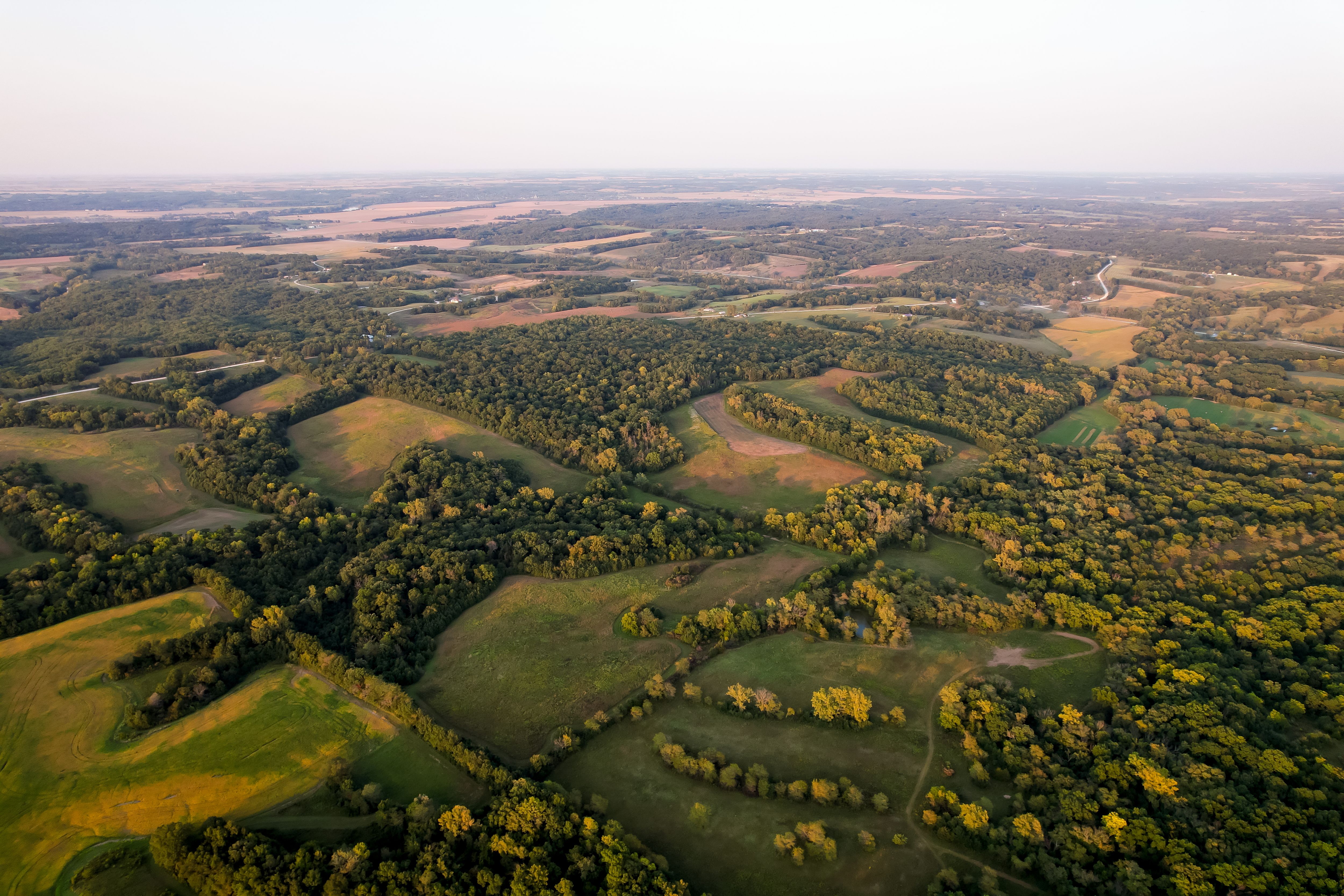 Listing Photo: Photo Sep 10 2025, 6 49 33 PM